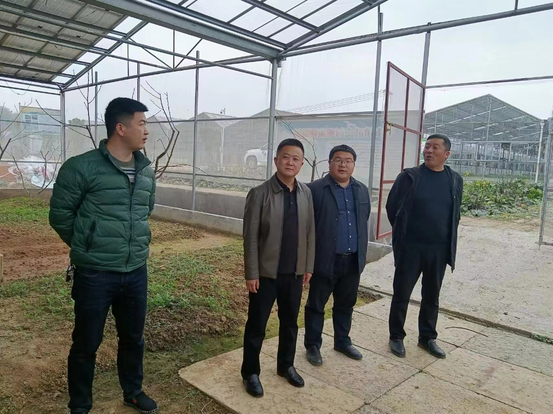 伍市镇：扎实开展农产品质量安全巡查工作