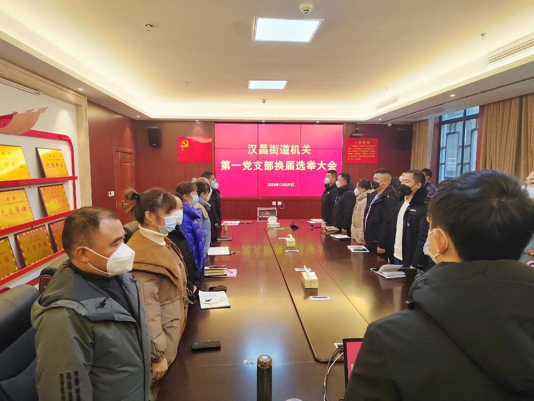 担当新使命 启航新征程 ——汉昌街道机关党支部圆满完成换届选举工作