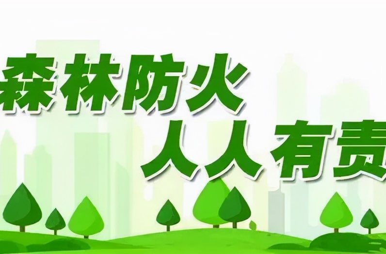 南江镇：奏响森林防火“三部曲” 防患于未“燃”