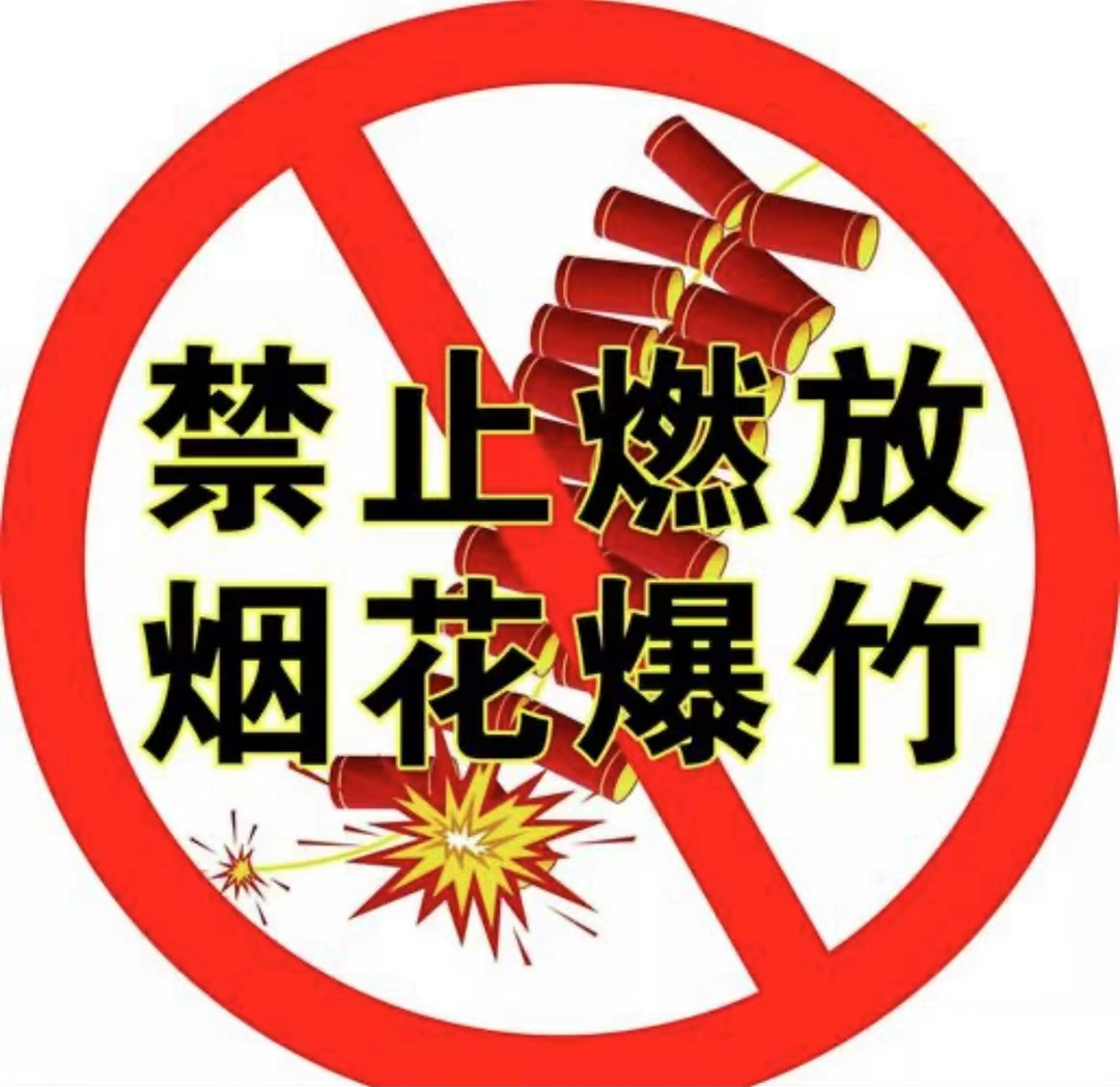 关于全县范围内继续禁止燃放烟花爆竹和使用电子气炮的通告