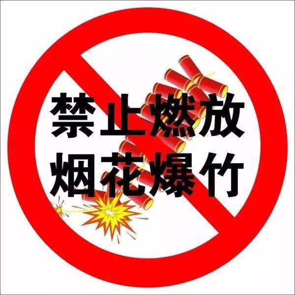 童市镇开展禁鞭禁炮专项行动