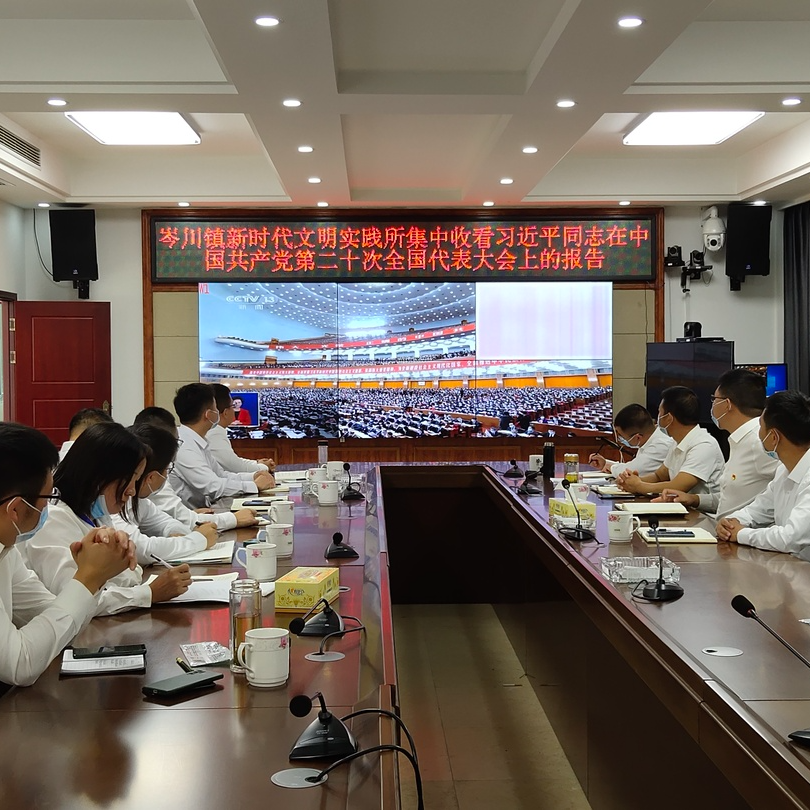 岑川镇多举措推动学习贯彻党的二十大精神走深走实