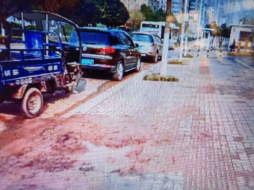 路边绿化损坏