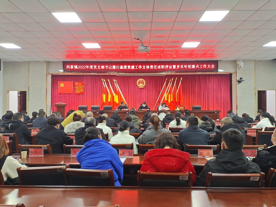 党建述职亮成果，踔厉奋发启新航——向家镇召开2022年度党支部书记履行基层党建工作主体责任述职评议暨岁末年初重点工作大会