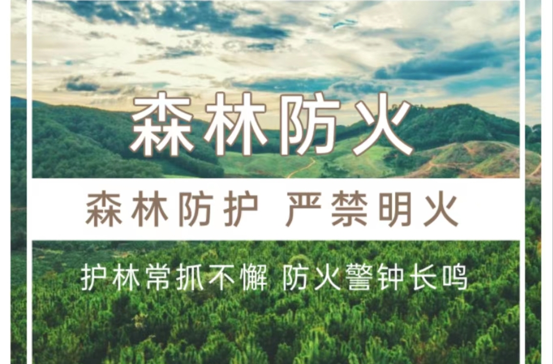 加义镇：森林防火正当时，这些知识请牢记