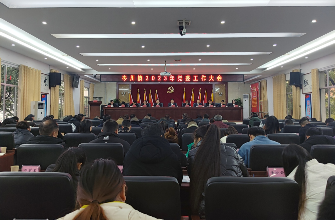 向新而行再奋进 ——岑川镇召开2023年党委工作大会