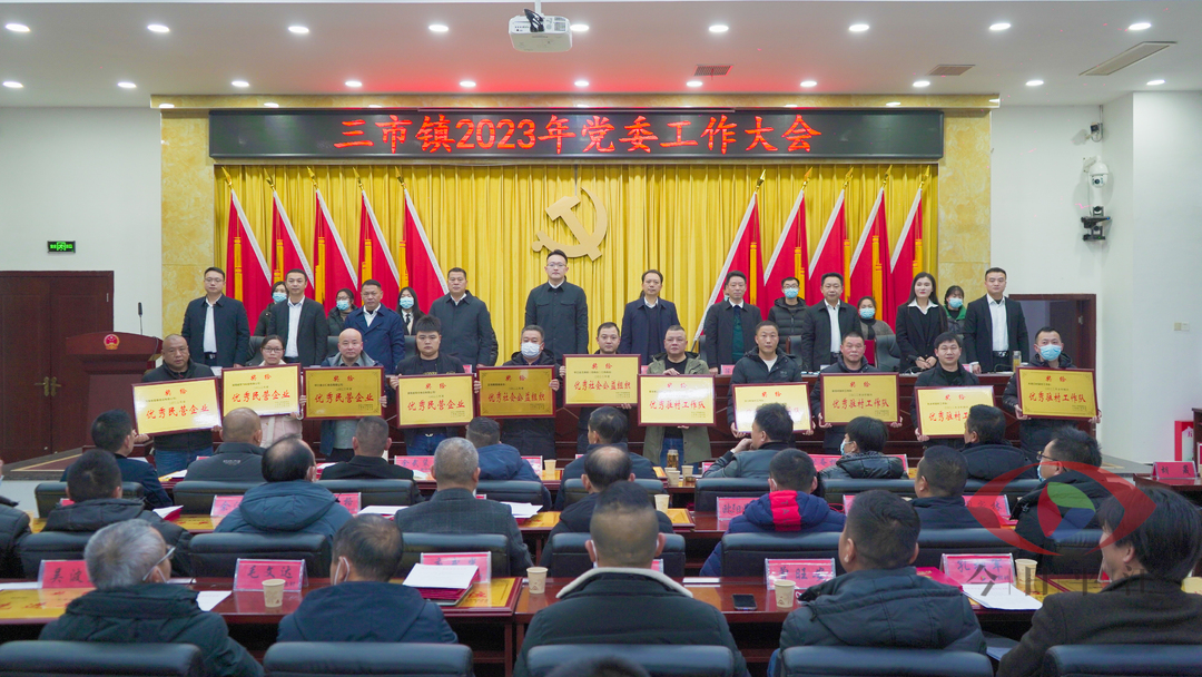 凝心聚力 共促发展丨三市镇4家民营企业和2个社会公益组织获得表彰