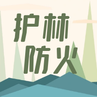 天岳街道：多措并举筑牢森林防火屏障