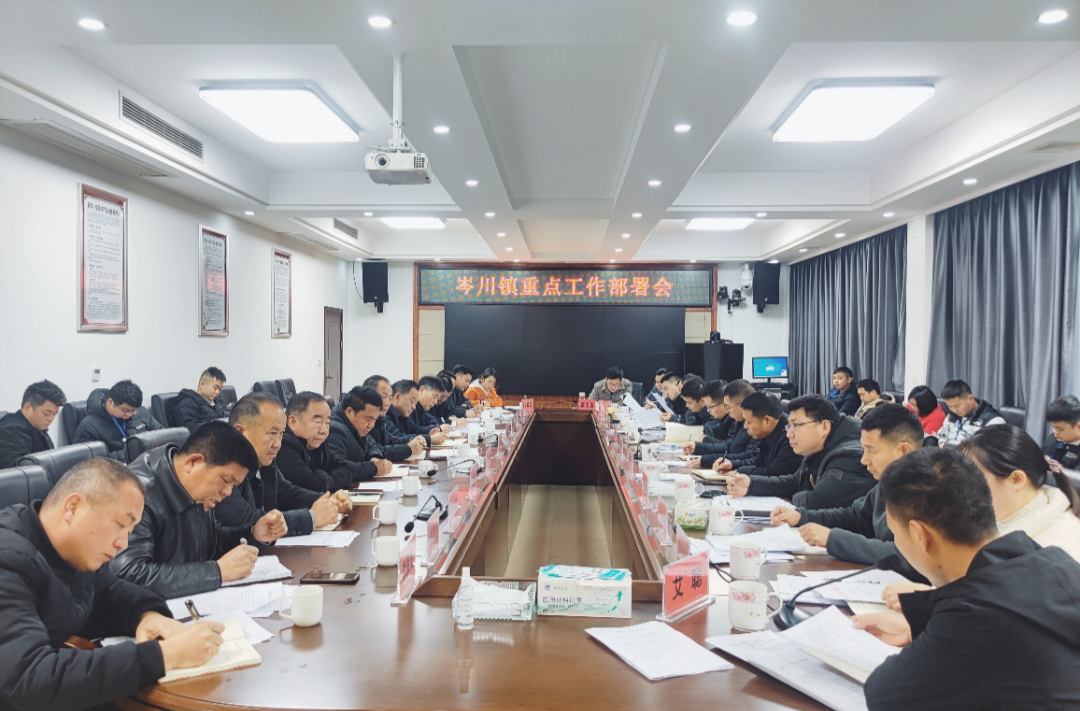 不负春光，抢早赶前——岑川镇召开当前重点工作推进会