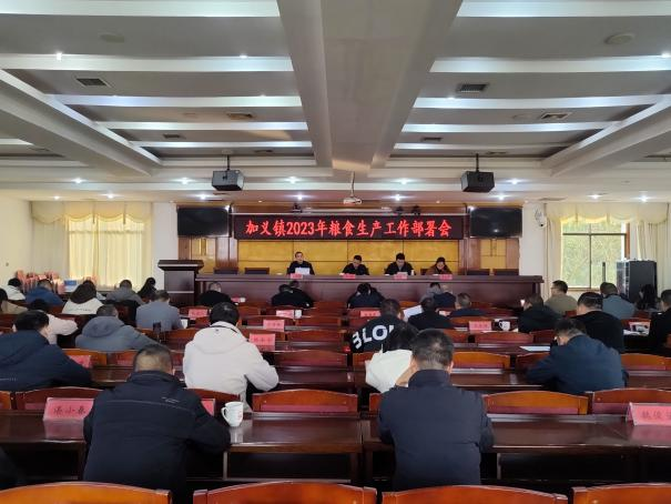 万象“耕”新，加义镇“四突出”举措抓实春耕生产