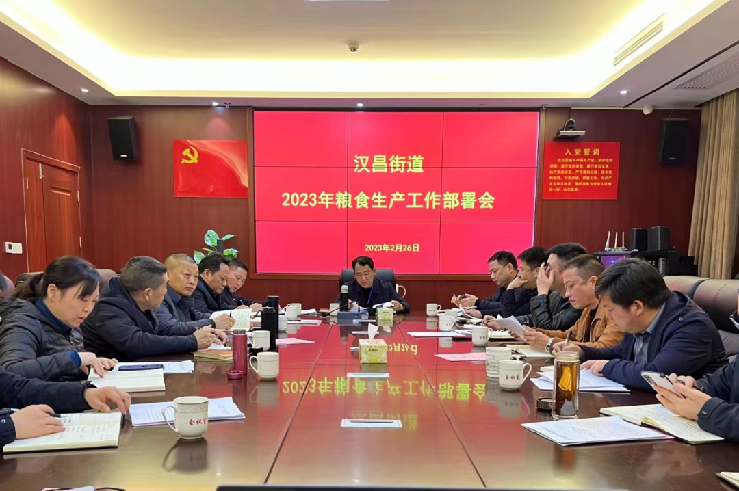 汉昌街道：春耕“三重奏 ”，保障粮食安全