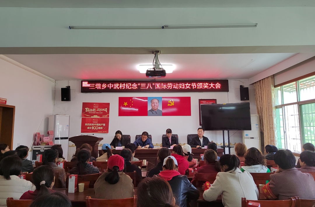 巾帼心向党，三月绽芳华——三墩乡中武村妇联开展欢庆“三八”国际劳动妇女节活动