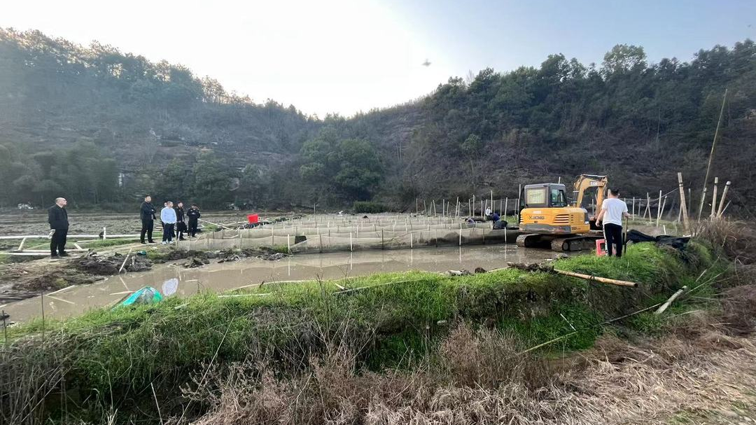 严守耕地红线！福寿山镇拆除1处非法牛蛙养殖场！