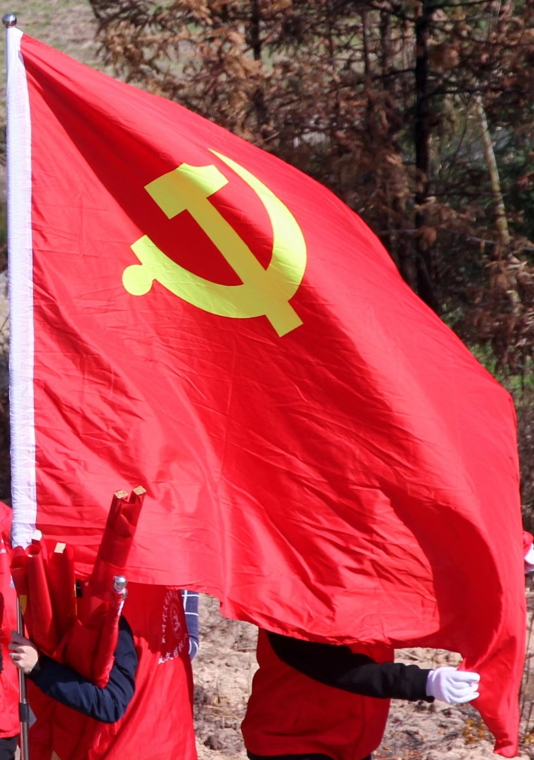 【油海三墩党旗红】春风拂枝催新芽，植树补绿正当时——三墩乡政府机关党支部组织党员干部开展义务植树活动