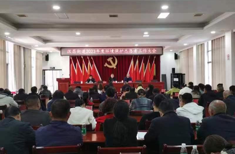 汉昌街道：志愿环保施雨露 助力创文建新功