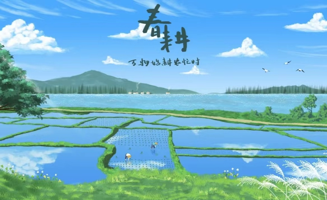 春种播希望，虹桥镇早稻生产如火如荼！
