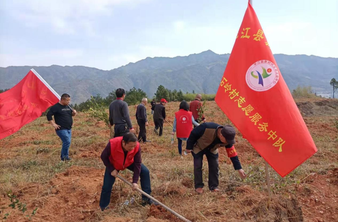 梅仙镇“植树添绿”系列活动（二）---不负春光植此绿  色染山头满目新