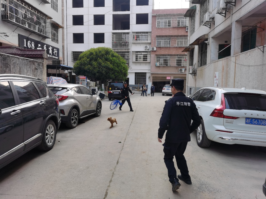 汉昌街道：  月池塘社区开展文明养犬集中整治行动