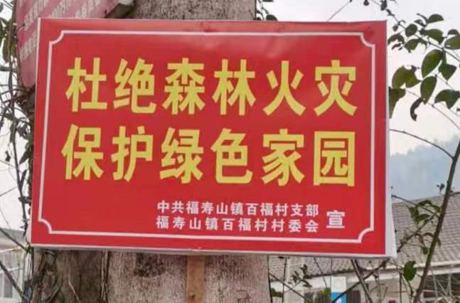 福寿山镇：全面筑牢森林“防火墙”