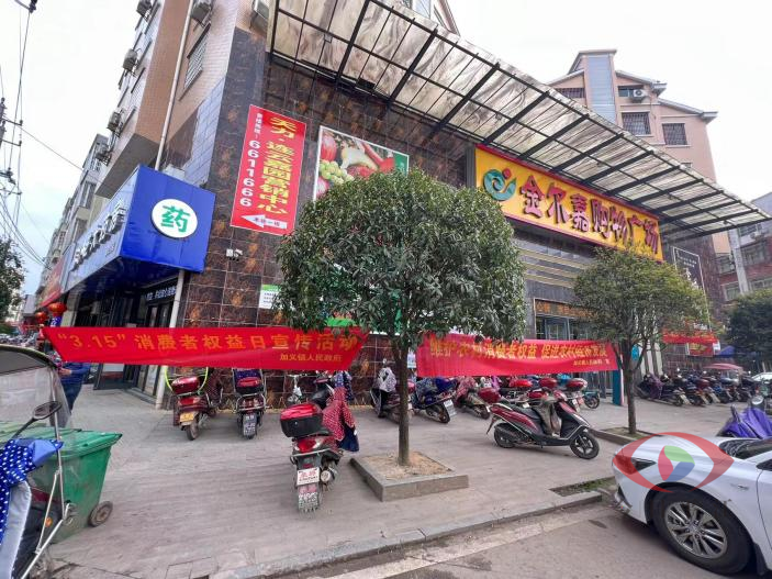 提振消费信心，共享放心消费——加义镇开展“3·15”消费者权益保护日主题活动