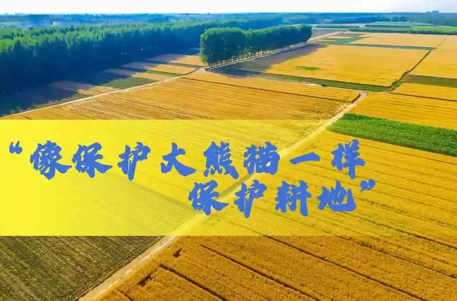 向家镇人民政府耕地保护监督告知书