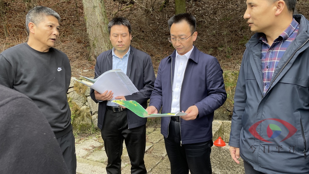 彭方建调研天岳幕阜山旅游开发建设项目