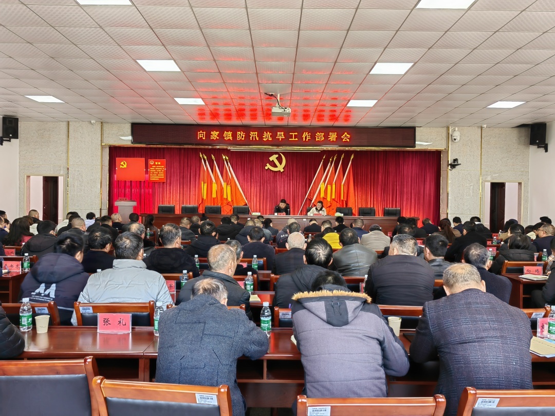 向家镇：“汛”速行动！