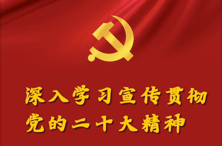【学习宣传贯彻党的二十大精神】党的二十大精神一起学（九）