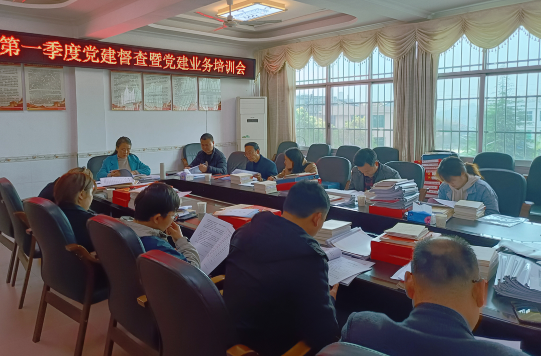 上塔市镇：“督查+培训”双管齐下 筑牢基层党建基础