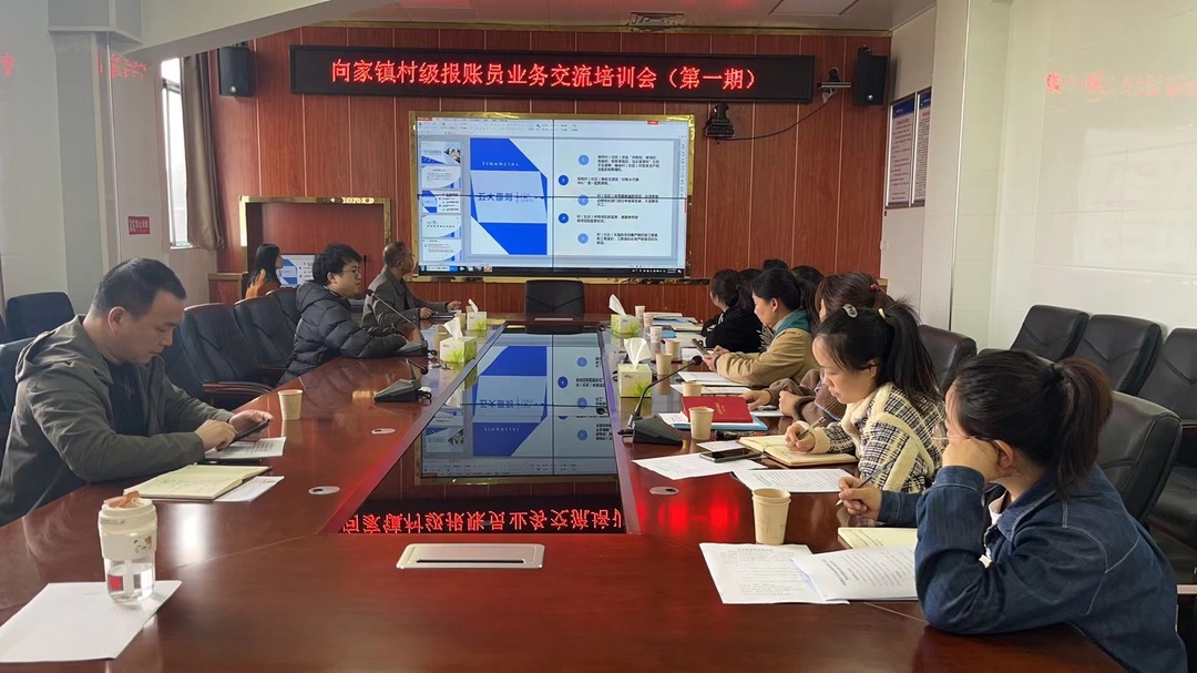夯基础、抓落实、促提升——向家镇财务管理培训正在进行时