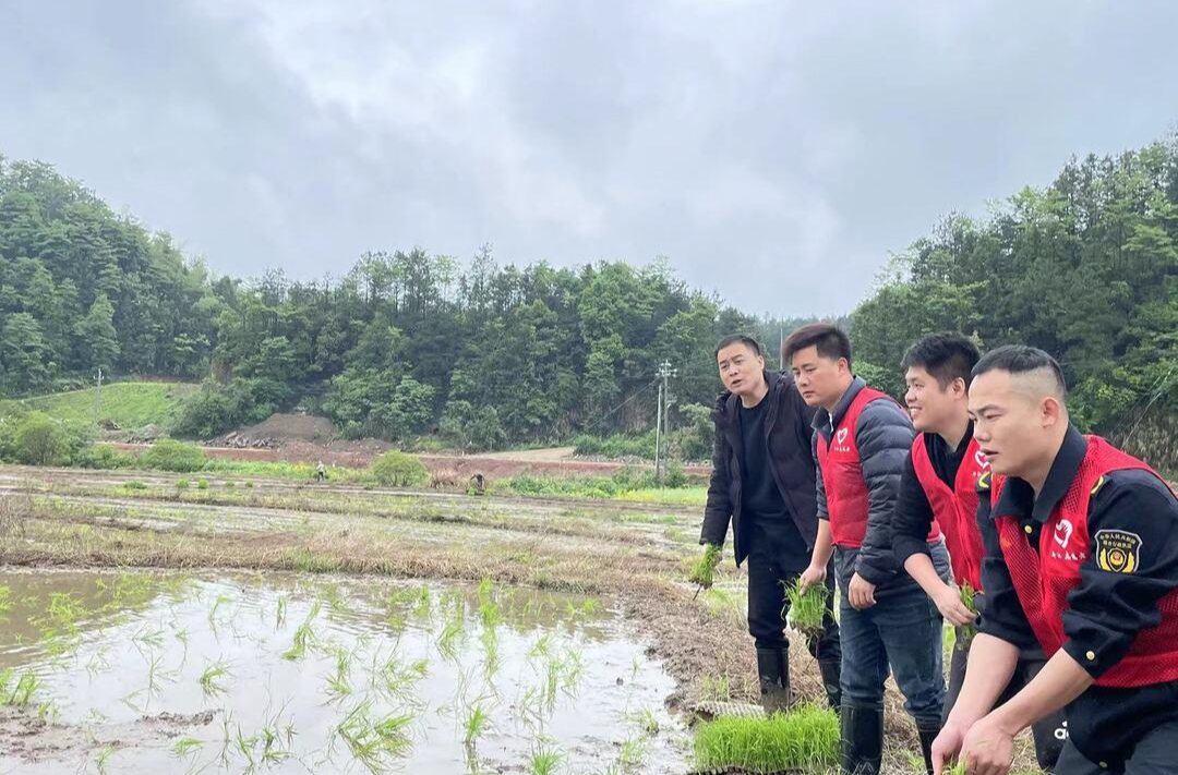 福寿山镇：抛秧一线志愿红