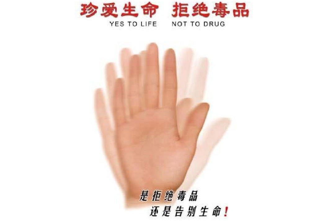 【禁毒宣传（二）】禁种铲毒，这些知识必须知道！