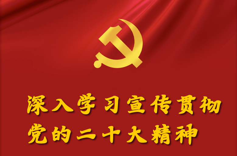 【学习宣传贯彻党的二十大精神】党的二十大精神一起学（十三）