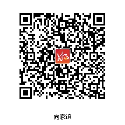 向家镇：下载“湘易办”，事情一键办。