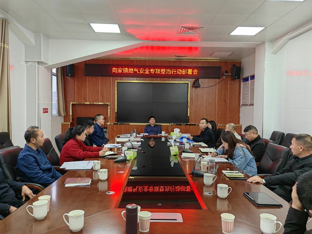 向家镇 持续开展燃气隐患排查专项整治行动