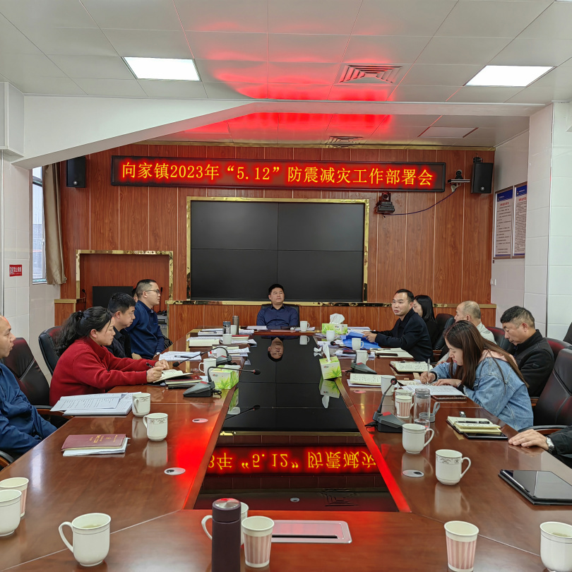 防范灾害风险，护航高质量发展——向家镇开展5.12防震减灾系列宣传活动