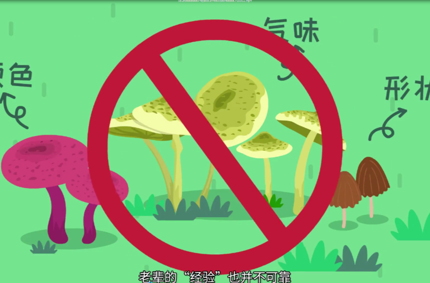 @福寿山镇全体居民：谨防中毒！让我们一起对野生蘑菇说NO