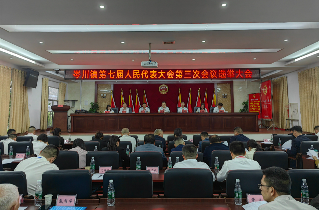 岑川镇第七届人民代表大会第三次会议胜利召开