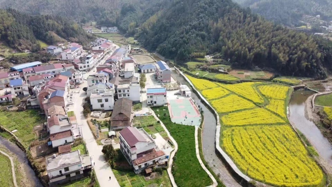 党员干部“争”当先锋模范  村规民约“约”出文明新风