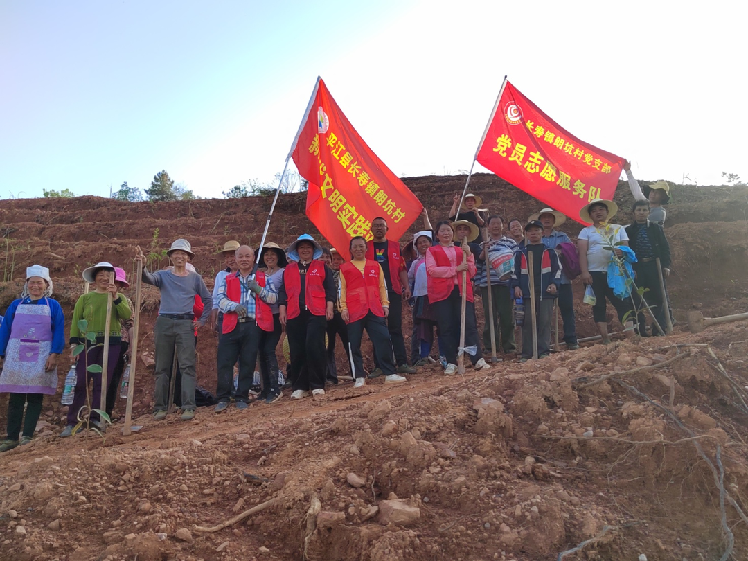 念好“山”字经，种出“钱”景瓜 ——记平江县林业局驻村帮扶工作队引导群众发展林下经济种植走笔