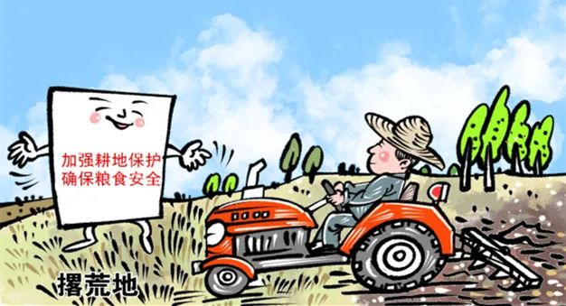 三阳乡：2023年耕地地力保护补贴发放政策解读来啦~