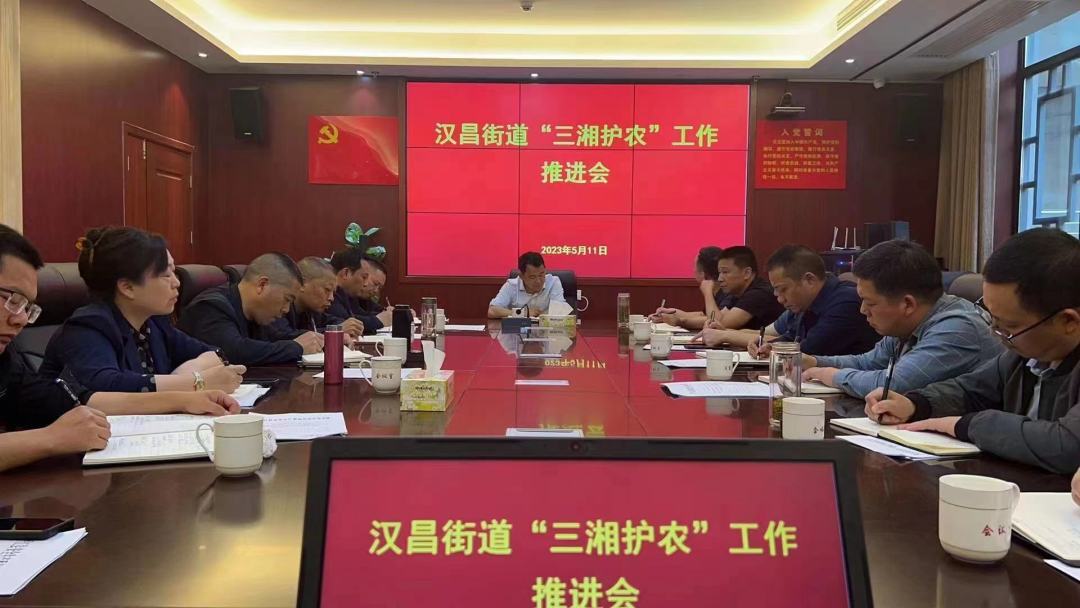 汉昌街道：  三个抓实，全面推进“三湘护农”自查自纠专项整治