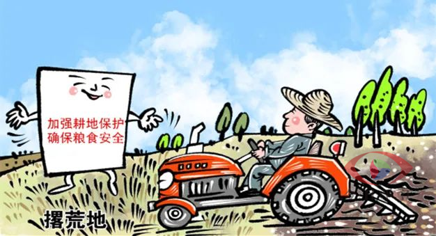 上塔市镇：2023年耕地地力保护补贴发放政策解读