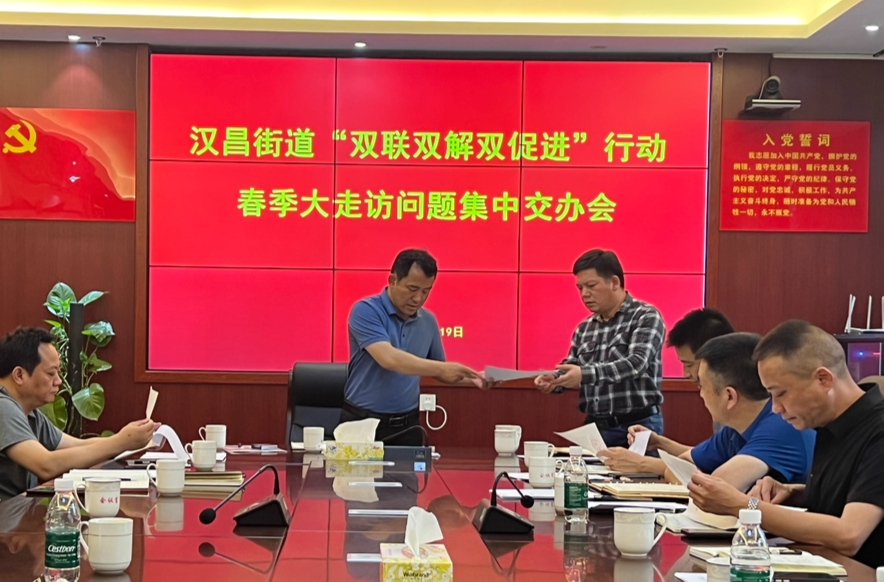 汉昌街道组织开展“双联双解双促进”活动