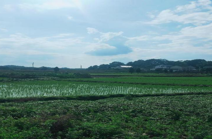 加义镇：耕地地力保护补贴政策解读