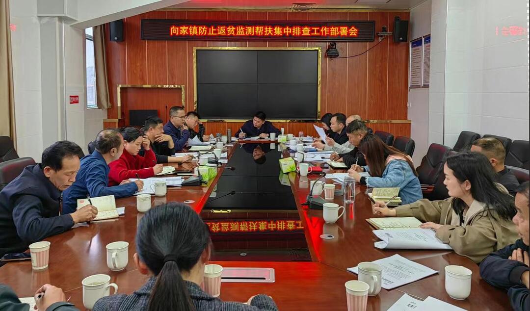 查漏补缺固成果，总结提升促振兴， 向家镇开展防返贫监测帮扶集中排查