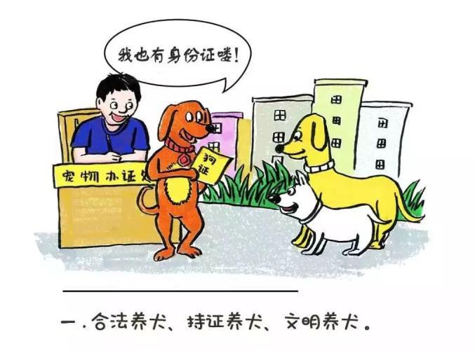 【公益广告】文明养犬