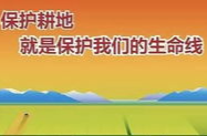 严守耕地保护红线，这些政策你要知道！