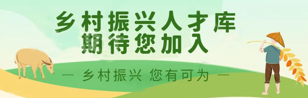 天生我材必有用，乡村振兴展风华