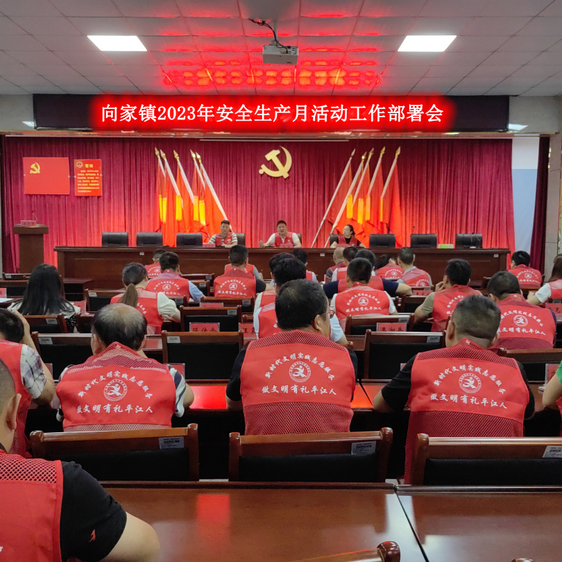 向家镇  “安全生产月”活动精彩纷呈！
